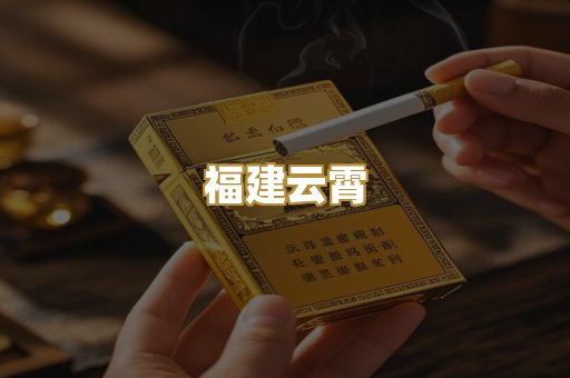 福建云霄